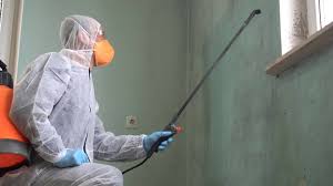 Best Forensic Mold Investigation  in Westlake Village, CA