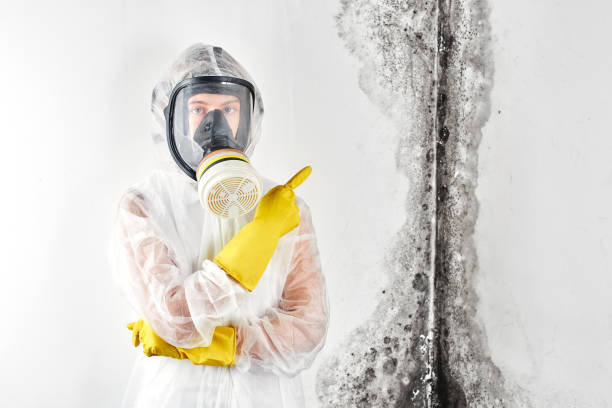 Best Air Quality Testing for Mold Spores  in Westlake Village, CA