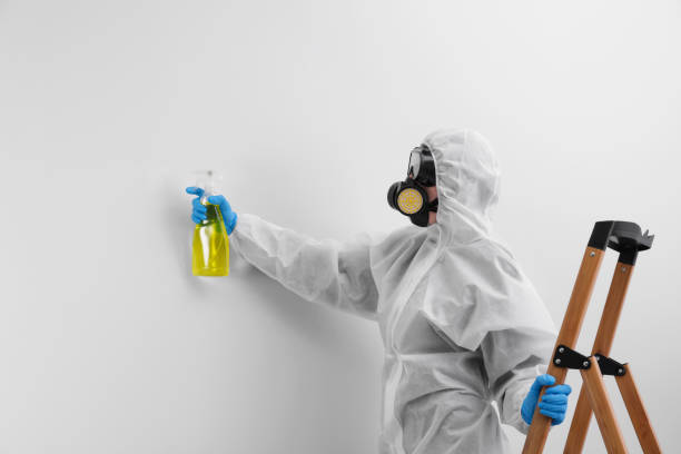 Best Mold Damage Restoration  in Westlake Village, CA